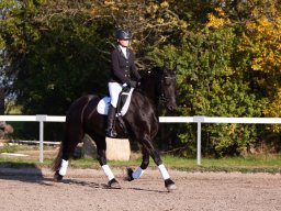 IMG_7333_web